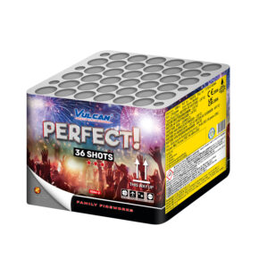 3 in 1 Showbox - Image 4