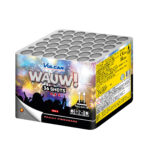3 in 1 Showbox - Image 3